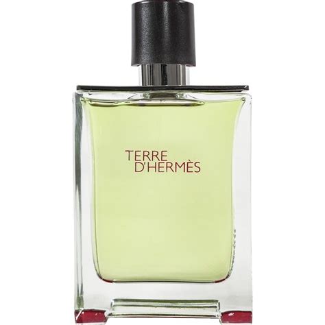 hermes d terre d'hermes|hermes terre d hermes review.